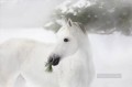retrato de caballo blanco sobre la nieve realista de la foto